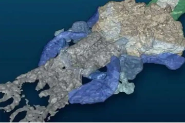 390 மில்லியன் ஆண்டுகளுக்கு முன் மீன் போன்ற உயிரினமாக இருந்த மனிதன்! ஆச்சரிய தகவல்