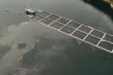 கனடாவில் முக்கிய மீன் பண்ணைக்கு பெருந்தொகை பிழை விதிப்பு