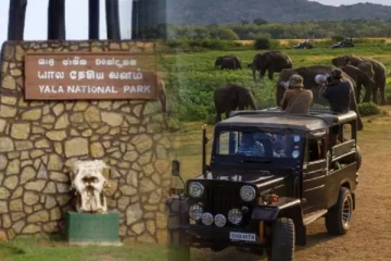 யால தேசிய பூங்காவில் அறிமுகமாகும் புதிய திட்டம் ; சுற்றுலா பயணிகளுக்கு மகிழ்ச்சி தகவல்