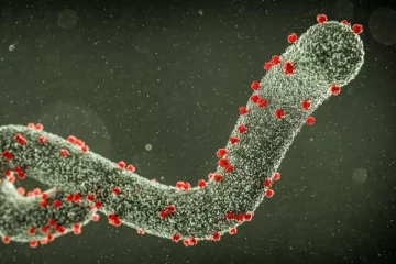 ஒரு இளம் தம்பதி குறித்து வெளியான செய்தி... பரவும் வதந்திகள்: ஜேர்மனியில் பரபரப்பு