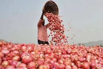 வெங்காயத்துக்கு ஏற்றுமதி வரி; வெங்காய விலையை கட்டுப்படுத்த இந்திய அரசின் முக்கிய முடிவு