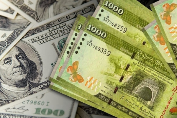 அமெரிக்க டொலருக்கு எதிரான இலங்கை ரூபாய் வரலாறு காணாத வீழ்ச்சி - ஐபிசி தமிழ்