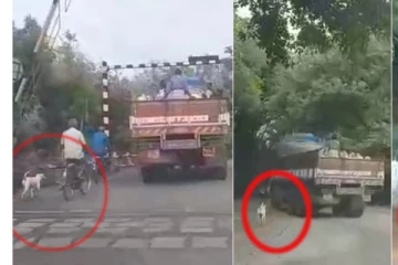 நல்ல நண்பன் வேண்டும் என்று அந்த மரணம் நினைகின்றதா...ஆட்டை பிரிய முடியாமல் லாரி பின்னால் செல்லும் நாய்!