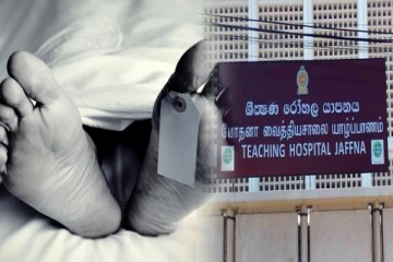 யாழில் பாம்பு தீண்டி ஒருவர் உயிரிழப்பு