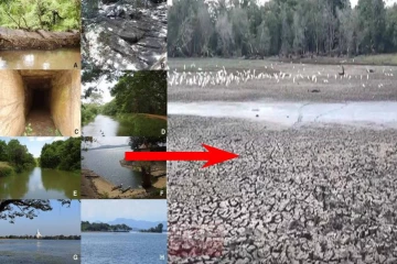 இலங்கையின் பிரதேசமொன்றில் கடும் வறட்சி : 778 குளங்கள் முற்றாக வற்றின