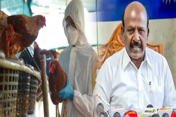 Half Boil சாப்பிடாதீங்க: தமிழக மக்களுக்கு அமைச்சரின் எச்சரிக்கை