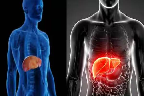 Fatty Liver: கல்லீரல் கொழுப்பை கரைக்கும் அற்புதமான 3 ஜூஸ் | Which 3 Drink Are Best For Fatty Liver Disease