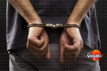 ප්‍රබල ජාවාරම්කරුවෙක් වන "හොරි සුද්දා" අත්අඩංගුවට