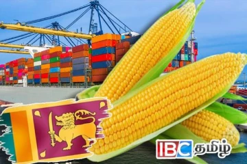 தொன் கணக்கில் சோளத்தை இறக்குமதி செய்ய அரசாங்கம் தீர்மானம்