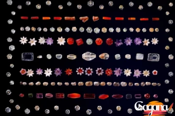 7 වෙනිදා රුපියල් කෝටි 386ක වෙන්දේසියක්