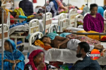 භයානක තත්ත්වයක් හැමතැනම පැතිරිලා - මරණ ගණනත් වේගයෙන් ඉහළට