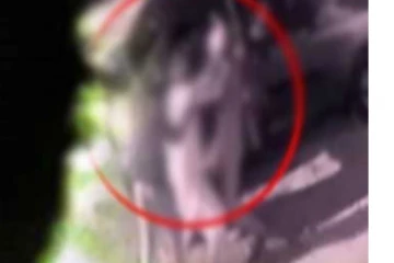 පොලිස් වෙසින් පැමිණ සිදුකළ භයානක පැහැරගැනීමක් ගැන තොරතුරු