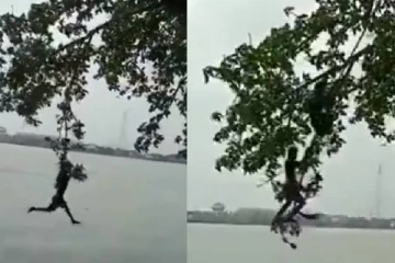 குரங்கையே யோசிக்க வச்சுட்டாங்களே! அடேய் இந்த மனுஷங்க நம்மள மிஞ்சிடுவான்க போல