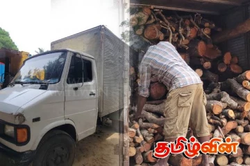 யாழ்.சாவகச்சேரியில் அனுமதிப்பத்திரம் இன்றி மரக்குற்றிகளை ஏற்றி வந்த ஒருவர் கைது