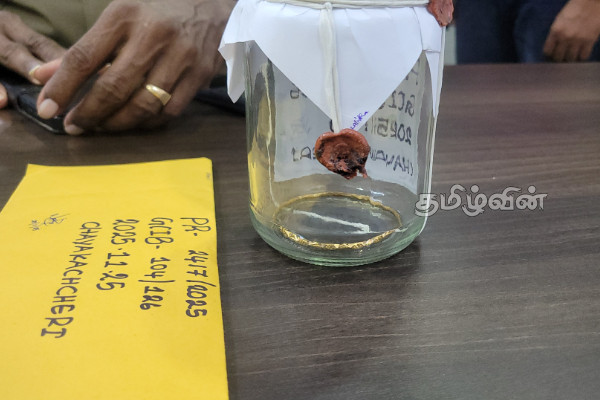 காதலனின் வீட்டில் நகை திருடிய யுவதி.. யாழில் சம்பவம் | Woman Stole Jewelry From Her Boyfriend S House