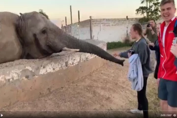 ஆசையாக வந்த பெண்ணை அந்தர் பல்டி அடிக்க வைத்த யானை! பரிதாப காட்சியை பாருங்க