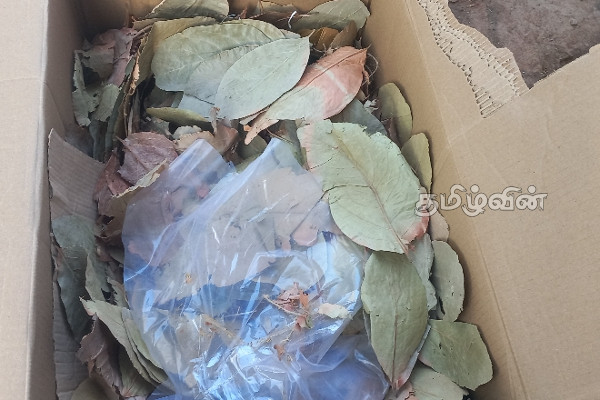 சட்டவிரோத செயலில் ஈடுபட்ட இருவர் கைது (video) | Two Men Arrested In Puttalam For Illegal Activity