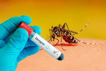 யாழில் டெங்கு தீவிரம்! அவதானமாக இருக்கும்படி சுகாதாரத்துறை அறிவுறுத்தல்