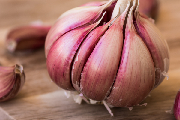 வெறும் வயிற்றில் பச்சை பூண்டு சாப்பிடுவதால் என்ன நடக்கும் தெரியுமா? இனி முழுசா தெரிஞ்சிக்கோங்க... | Why You Should Eat Garlic Empty Stomach