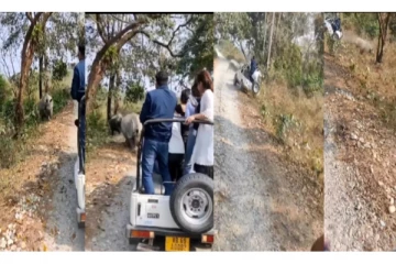 திடீரென தாக்க ஓடிவந்த காண்டாமிருகம்.. தலை குப்புற கவிழ்ந்த ஜீப்