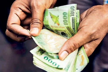 මේ දේවල් වගා කරන ගොවීන්ට සුබ ආරංචියක් - රජයෙන් විශේෂ රක්ෂණාවරණයක්