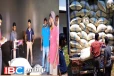 சொன்னபடி நடக்கும் திருகோணமலை விவசாயிகள்