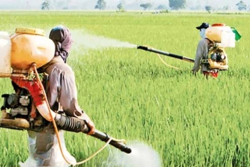 ග්ලයිපොසේට් ආනයනය සම්බන්ධයෙන් ගත් තීරණය..