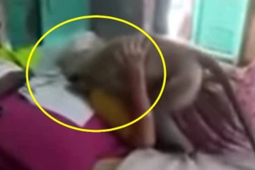 உணவு கொடுத்த பெண் படுத்தப்படுக்கையாக கிடந்த அவலம்! ஓடி வந்து கட்டிப்பிடித்து கண்ணீர் சிந்த வைத்த குரங்கு!