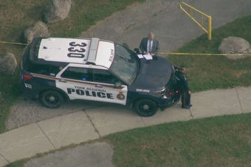 கனடாவில் வாகனங்கள் மீது கற்களை வீசிய இளைஞர்கள் கைது