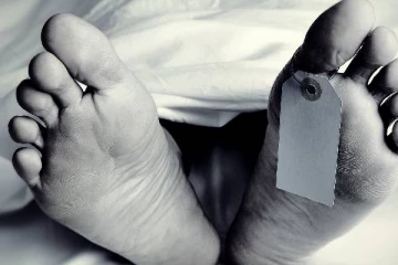 ஹோலிருட் தோட்டத்தில் குளவி கொட்டுக்கு ஒருவர் பலி