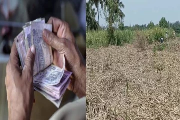 லஞ்சம் கொடுக்காததால் விவசாயிக்கு கள ஆய்வாளரால் நேர்ந்த நிலை - நடவடிக்கை எடுக்க கோரிக்கை