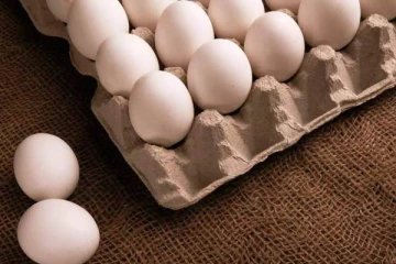 வரலாறு காணாத உச்சம் தொட்ட முட்டை விலை - ஏன், எவ்வளவு தெரியுமா?