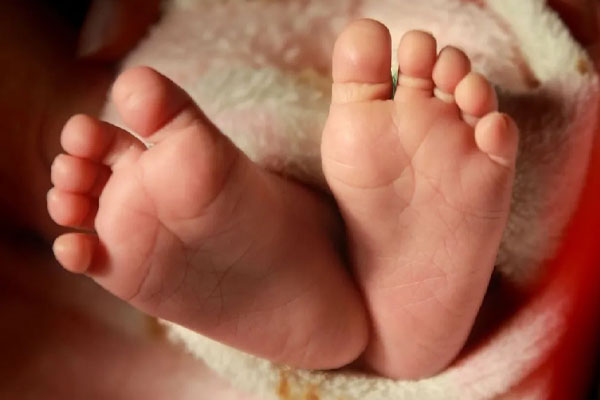 வைத்தியசாலையில் அனுமதிக்கப்பட்ட 4 மாத குழந்தை உயிரிழப்பு | 4 Month Old Baby Admitted To The Hospital Died