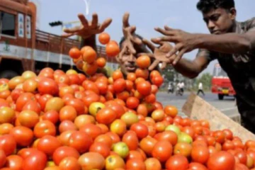 உச்சத்தில் தக்காளி விலை கிலோ ரூ.160க்கு விற்பனை