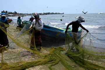 மீன் பற்றாக்குறைக்கு எல் நினோவும் காரணம்