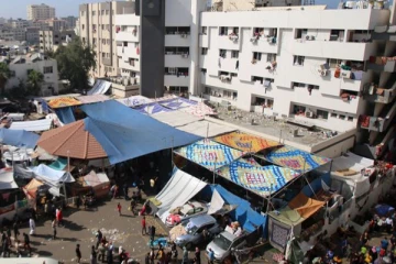 மயானமாக மாறும் காசாவின் பிரதான மருத்துவமனை; உடல்களை உண்ணும் நாய்கள்