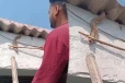 Viral Video: சீறிய விஷப்பாம்பை அசால்டாக பிடித்த நபர்... பயமுறுத்தும் காணொளி
