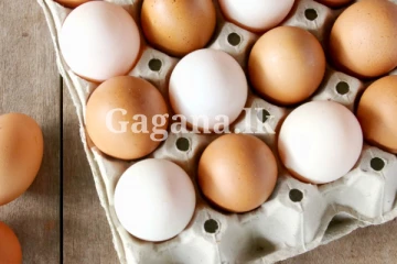 බිත්තරයක් රුපියල් 35කට - ලබාගත හැකි ස්ථානයත් දැනුම් දෙයි.