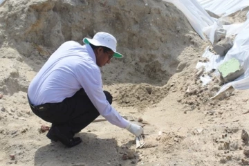 மன்னார் சதொச மற்றும் திருக்கேதீஸ்வரம் மனித புதைகுழி வழக்கு