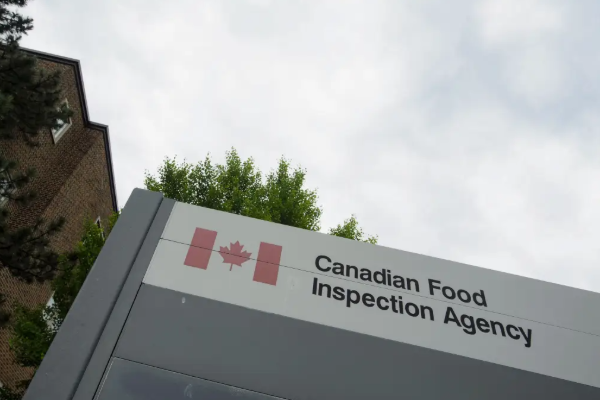 கனேடிய நிறுவனம் ஒன்றிற்கு 10,000 டொலர்கள் அபராதம்: பின்னணி | Real Canadian Superstore Face Penalty By Cfia கனேடிய நிறுவனம் ஒன்றிற்கு 10,000 டொலர்கள் அபராதம்: பின்னணி | Real Canadian Superstore Face Penalty By Cfia