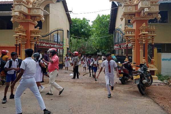 கிளிநொச்சி மகா வித்தியாலயத்தில் குளவி கொட்டுக்கு இலக்காகி 25 மாணவர்கள் வைத்தியசாலையில் (Photos) | 25 Students Hospitalized At Wasp Maha Vidyalaya