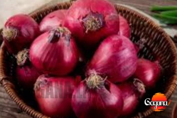 ලොකු ලූනුවලට වෙච්ච හදියක්