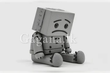 නගර සභාවේ වැඩ බෑ කියල රොබොත් සියදිවි හානි කරගෙන..