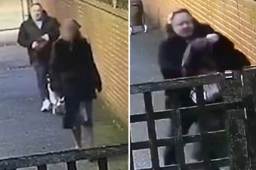 லண்டனில் கர்ப்பிணி பெண்ணை பின்தொடர்ந்து வந்த நபர் செய்த பகீர் செயல்! பதறவைக்கும் சிசிடிவி காட்சி