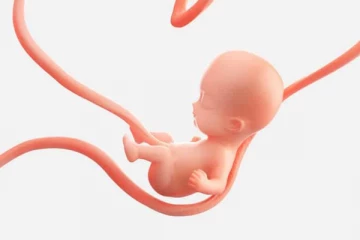 கொரோனாவுக்கு இடையே சீனாவில் களைகட்டும் தொப்புள்கொடி விற்பனை