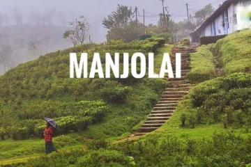 மாஞ்சோலை எனும் சகாப்தம்; முடிவுக்கு வரும் தொழிலாளர்கள் பயணம் - கலங்க வைக்கும் பின்னணி!