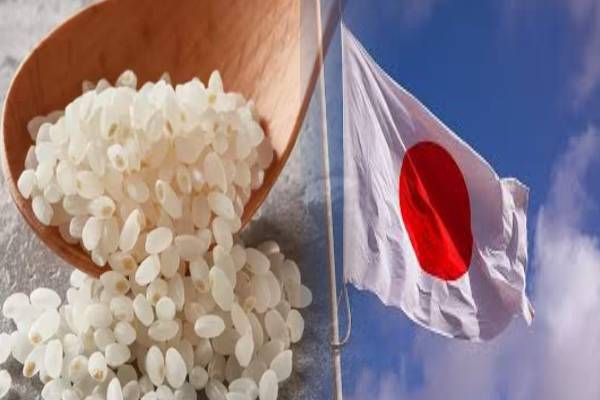 உலகின் மிக விலை உயர்ந்த அரிசி ; ஒரு கிலோ எவ்வளவு தெரியுமா? | Which Country Has The Most Expensive Rice World