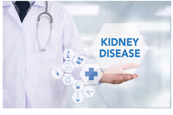 சிறுநீரக நோய் தொடர்பில் வெளியான முக்கிய தகவல்.. | Of Kidney Patients Sri Lanka
