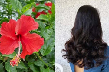 45 வயதில் சொந்த பிஸினஸ்- முடி கருகருவென அடர்த்தியா வளரணுமா?