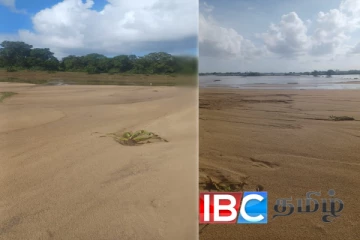 வெள்ளத்தையடுத்து கடற்கரையாக காட்சியளிக்கும் விவசாய நிலங்கள்..!